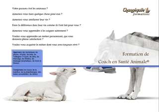 formation de coach en sant&#233; animale pr chiens